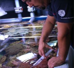 Ocean�rio de Lisboa lecciona disciplina de Aquariologia