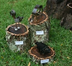 Monte Selvagem - exposi��o Sucat'art Selvagem com mais pe�as