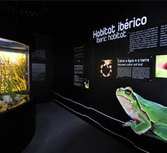 Ocean�rio de Lisboa apresenta �Anf�bios. Interessantes por Natureza�
