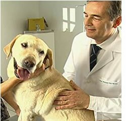 A relev�ncia que a Rastreabilidade e os C�digos de Barras assumem nos dias de hoje