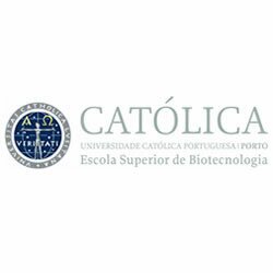 250.000 Visitas Mês, 40 Parceiros, Mais de 250 Escolas, 39.600 Noticias, 15.000 Utilizadores Registados, ... 250.000 Visitas Mês, 40 Parceiros, Mais de 250 Escolas, 39.600 Noticias, 15.000 Utilizadores Registados, ...